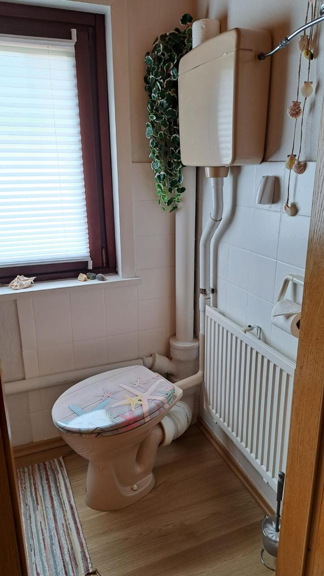 Ferienwohnung Friedrichsruh Braunlage Bagian luar foto