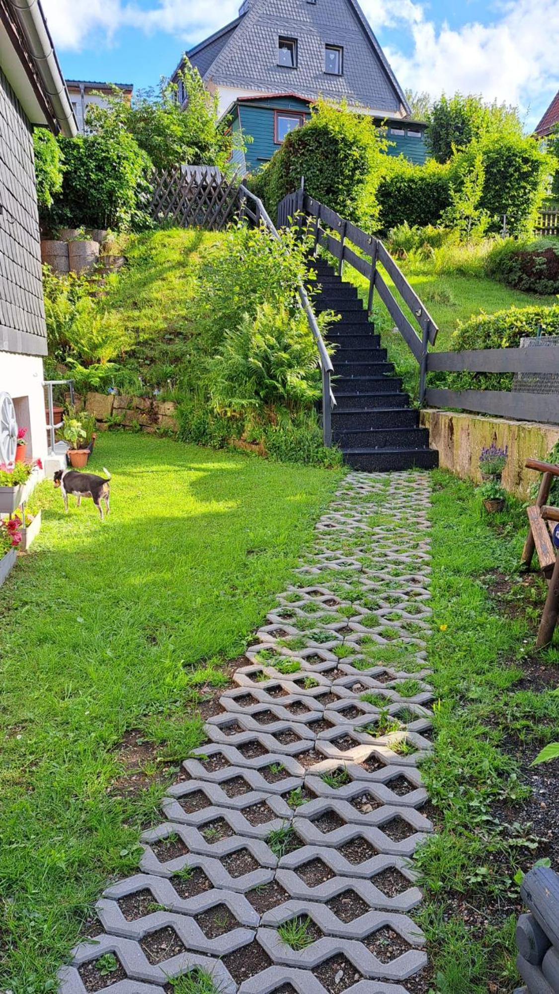 Ferienwohnung Friedrichsruh Braunlage Bagian luar foto