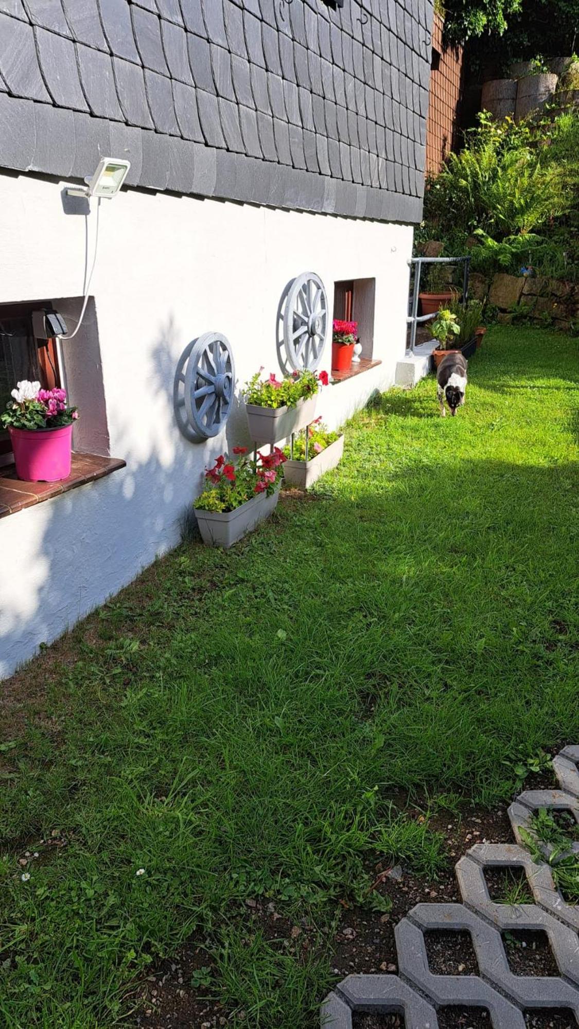 Ferienwohnung Friedrichsruh Braunlage Bagian luar foto